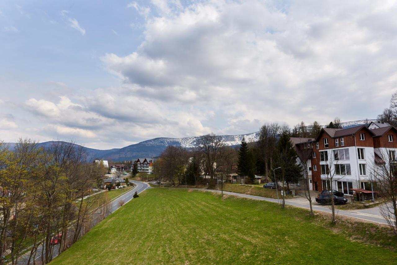 Kamilkowy *