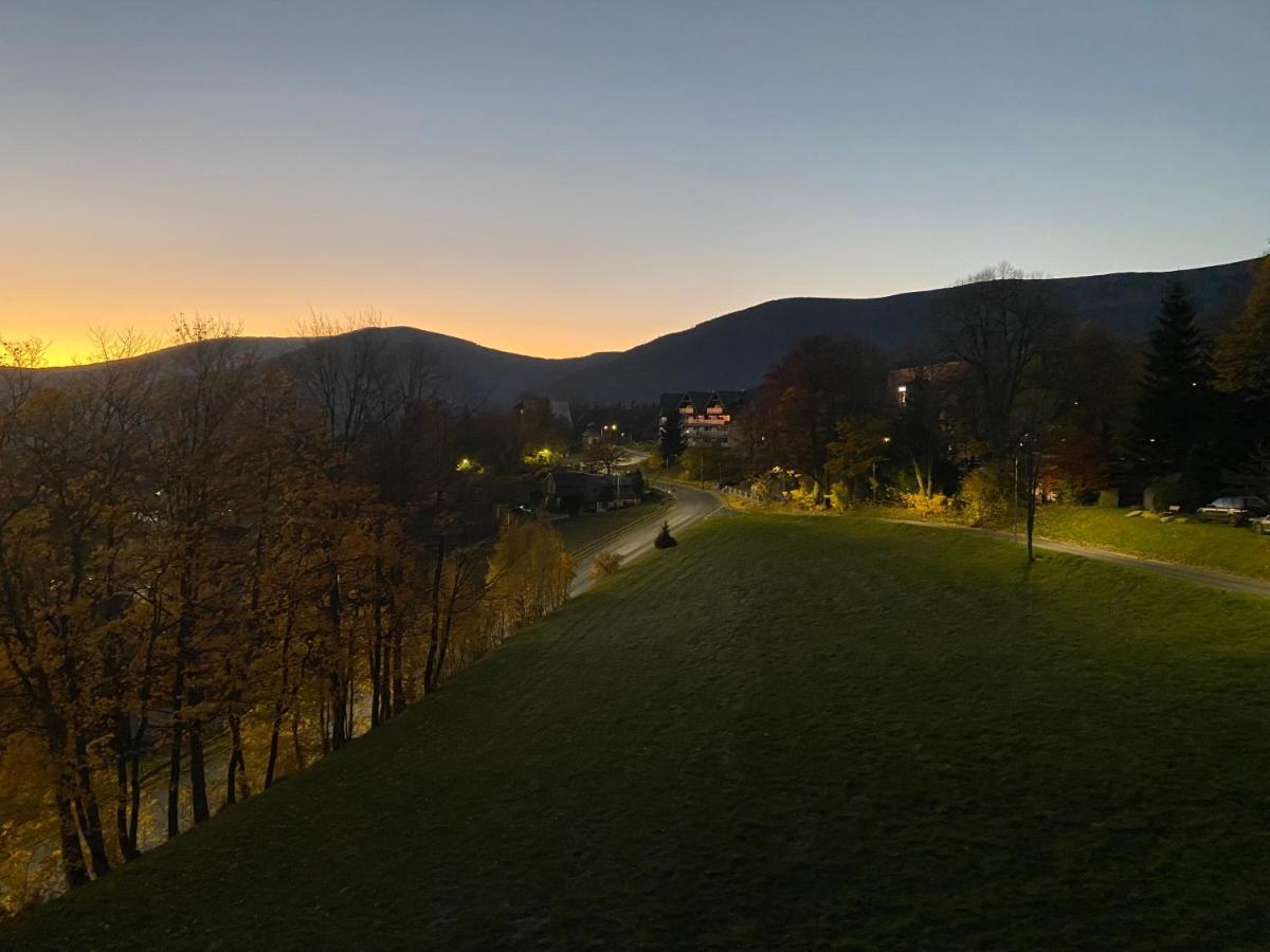 Kamilkowy *